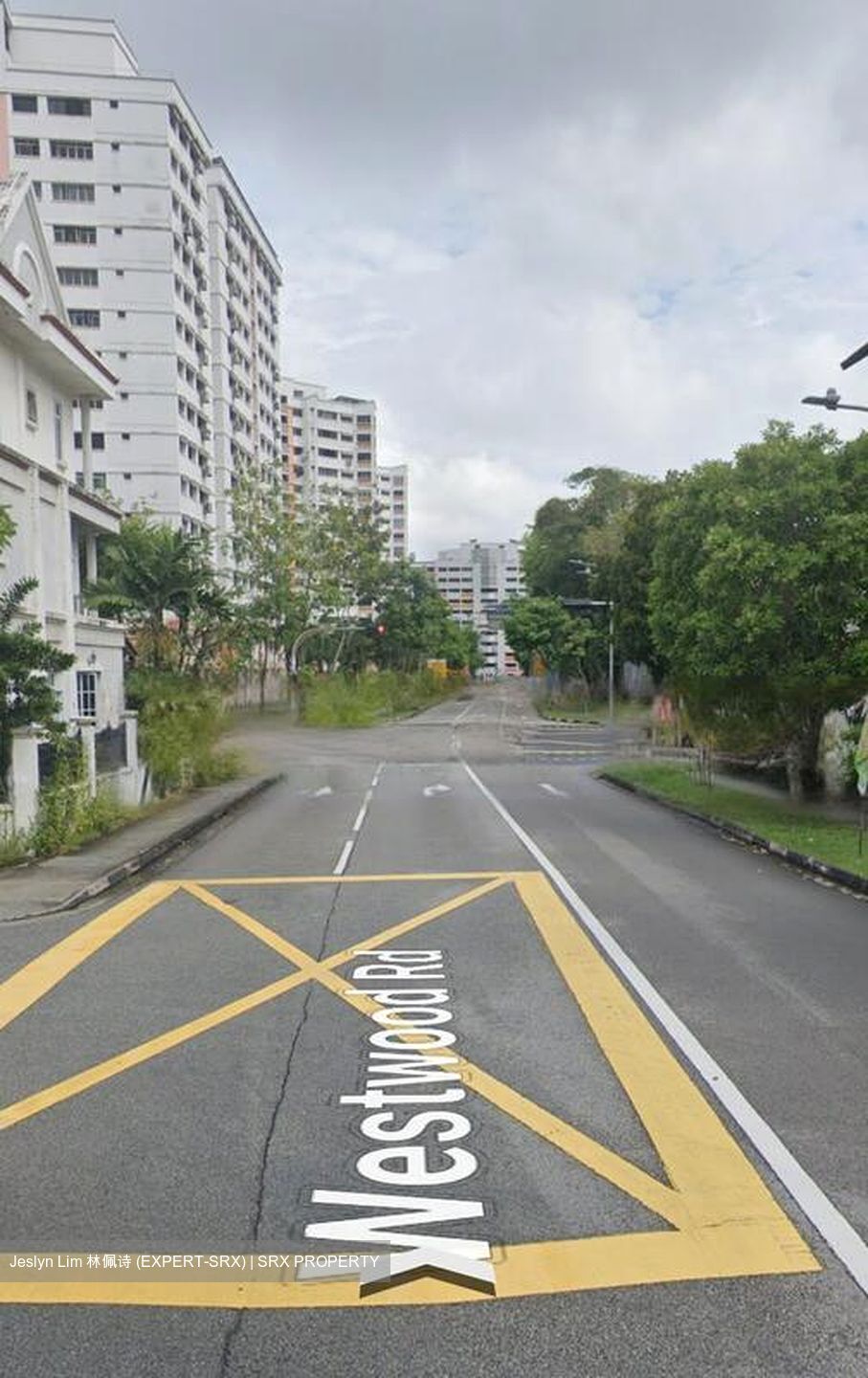 Jurong West Street 25 (D22), Semi-Detached #485068091